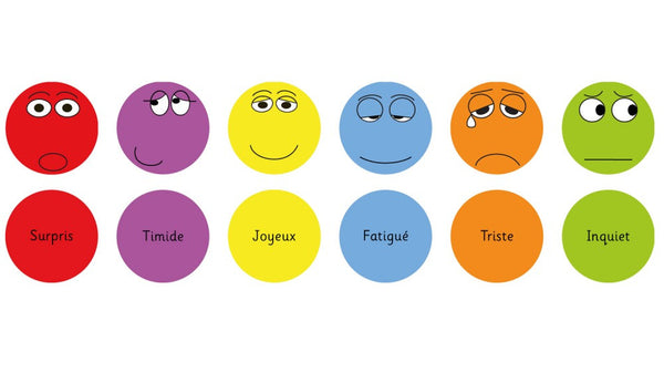 French Emotion cushions Pack 1 - Toy Giant 